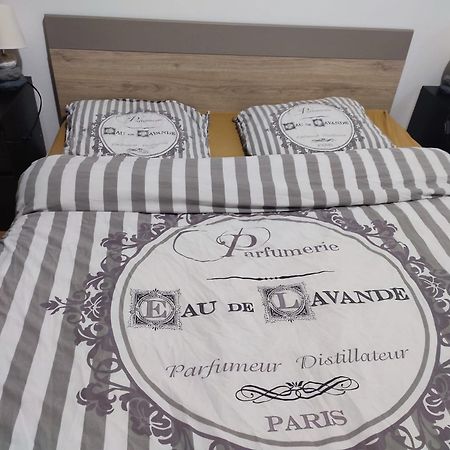 Grand Appartement Chaleureux Mirebeau-sur-Beze 외부 사진